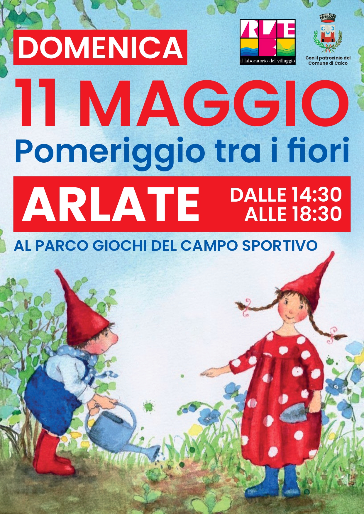 Immagine anteprima