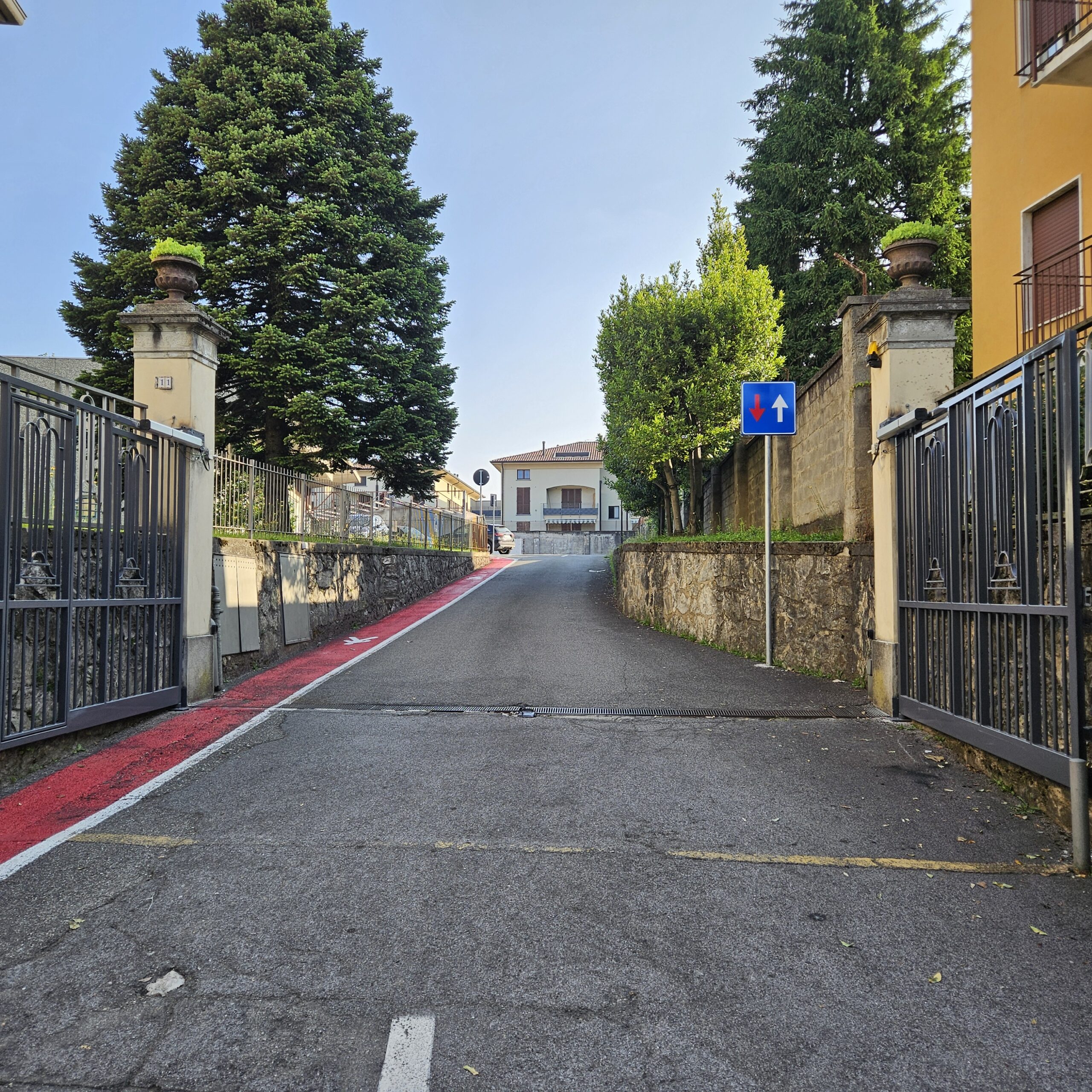 Immagine anteprima