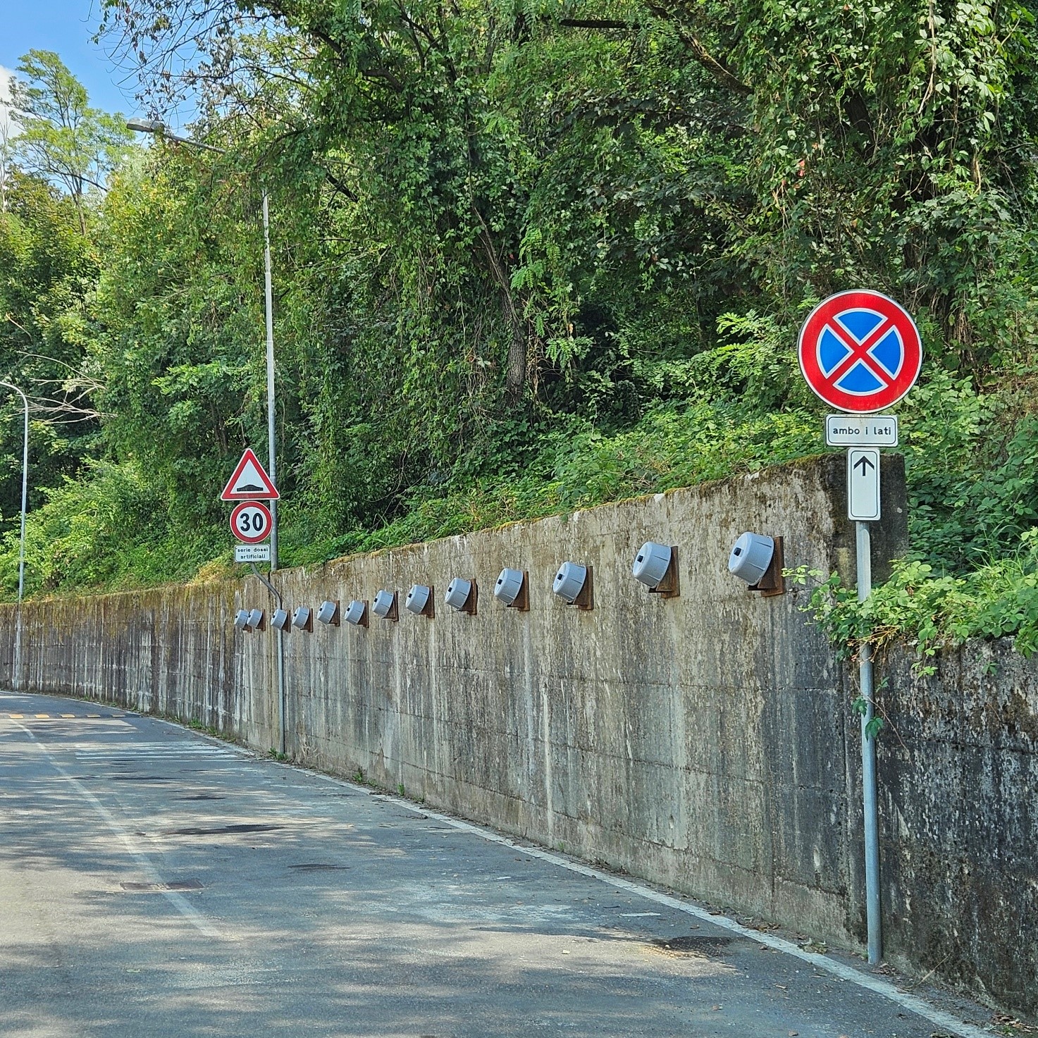 Immagine anteprima